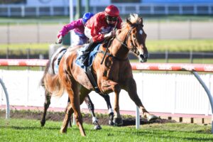 Brooklyn Hustle scored what turned out to be a soft win at Moonee Valley.