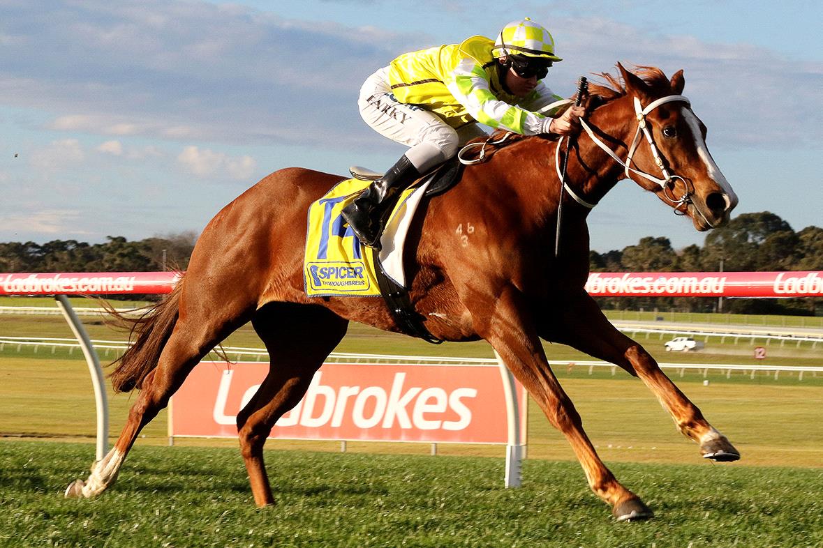 Eduardo will be in action at Caulfield on Saturday.