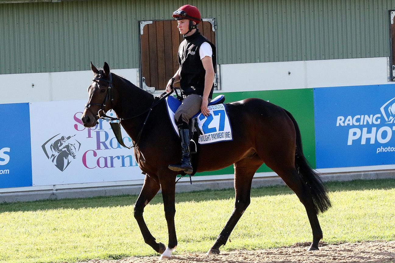 Twilight Payment in Melbourne last spring.