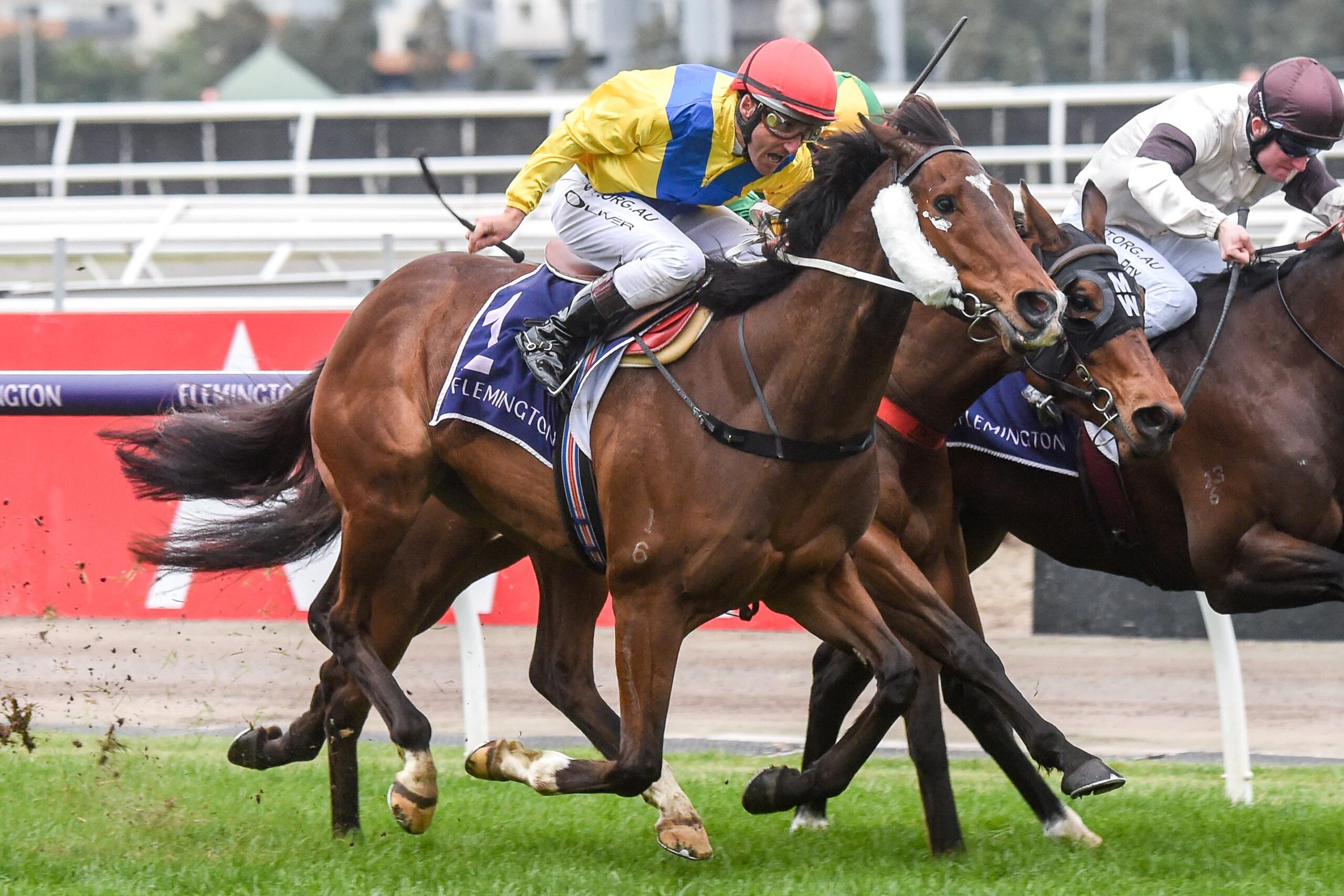 Damien Oliver Right On The Money At Flemington Racenet