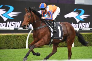 Melody Belle has spring targets in Sydney.