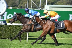 Edison won the opener at Randwick on a heavy track.