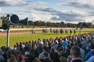 Have found a couple of standouts at Grafton despite the heavy track.