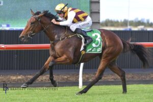 Fashchanel winning recently at Kembla.