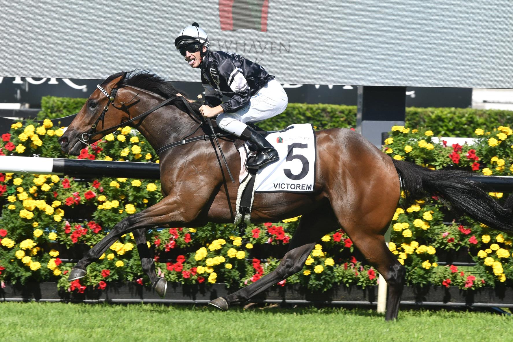 Victorem pulled up sore after the Stradbroke Handicap.