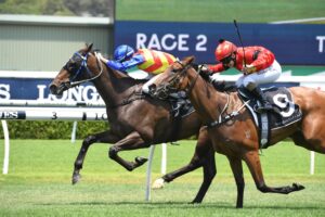 Rari (inside) leads Greg Hickman’s Rosehill hand.