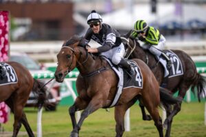 Victorem winning in Queensland last year.