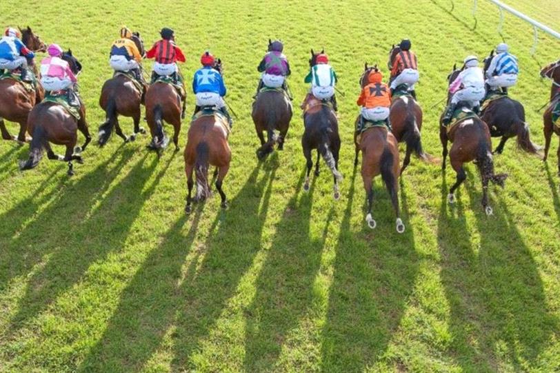 An epic fail, it's not a level playing field' - frustrated Qld trainers  speak out over integrity concerns - Racenet