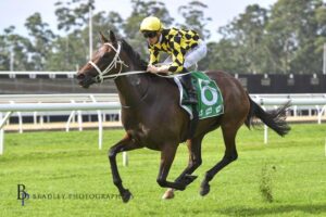 Archanna wins on debut at Warwick Farm.