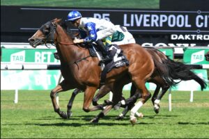 Crack Me Up will head to the Stradbroke Handicap.