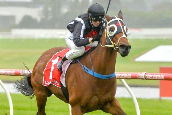 Georgie Cartwright will pilot Jungle Edge in Saturday’s Goodwood at Morphettville.