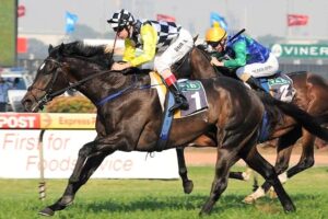 A son of So You Think will contest Saturday’s Listed Andrew Ramsden at Flemington.