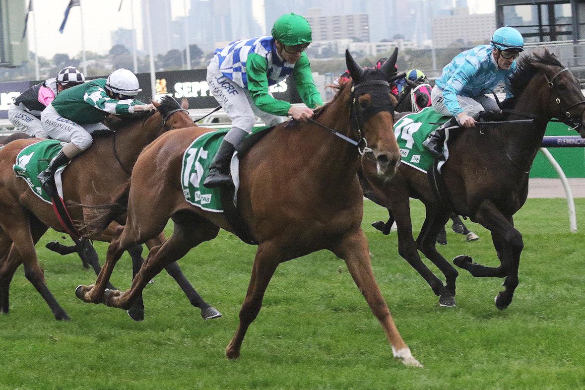 Moonlight Maid will be out for another Flemington win in the VRC Oaks.