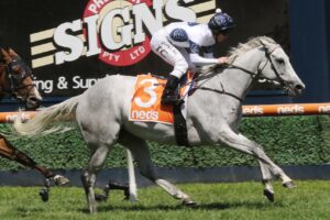 Greysful Glamour is in the Gosford Cup field.