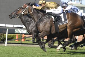 Tactical Advantage flies home to win the Hawkesbury Rush.