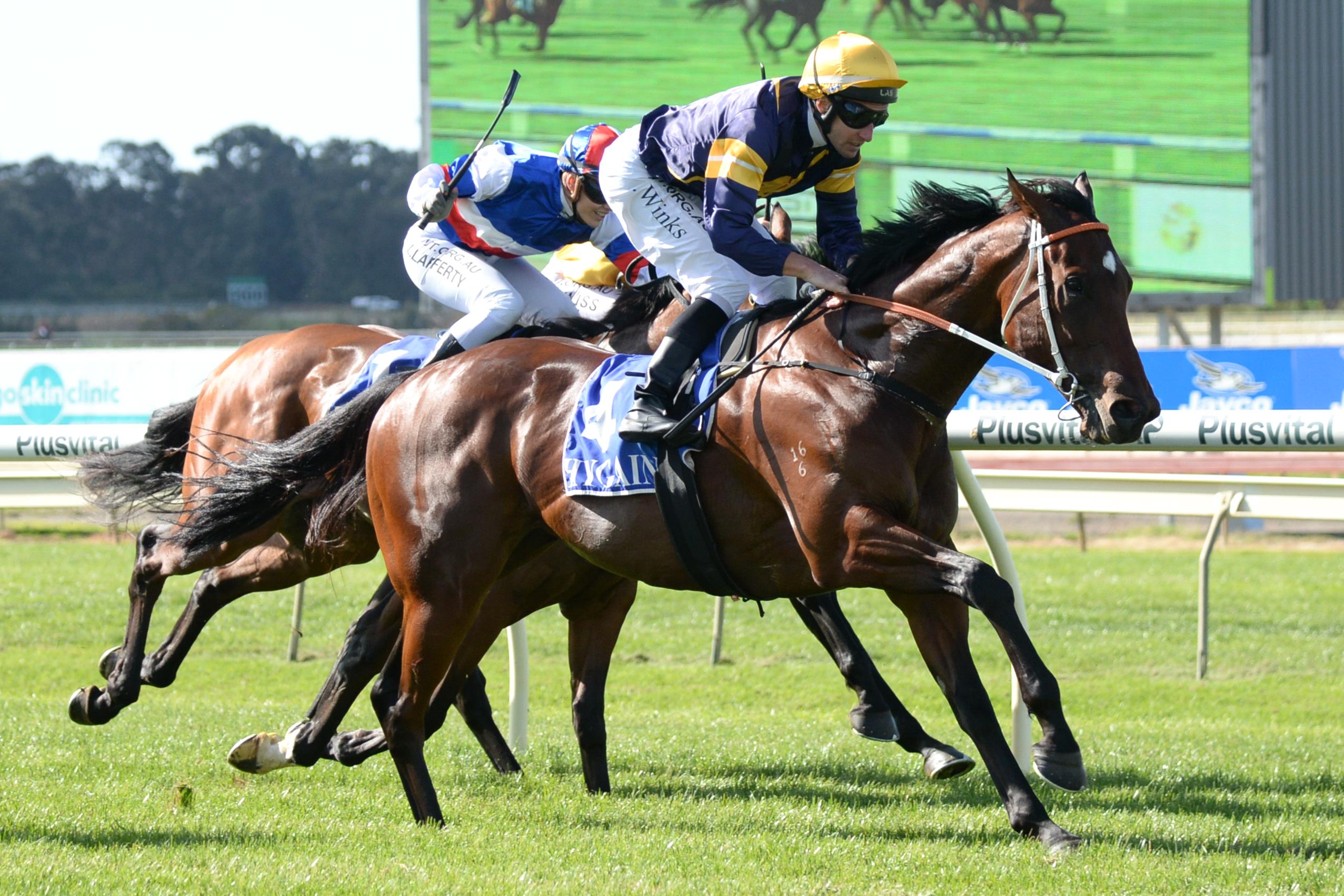 Masked begins Crusade with easy Bendigo win