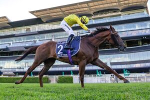 Addeybb won the Queen Elizabeth Stakes.