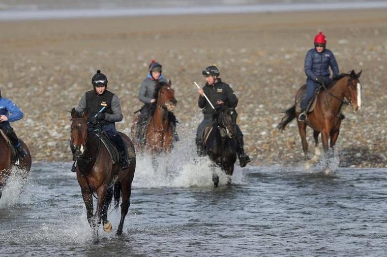 British horses are still in work waiting for a return to racing.