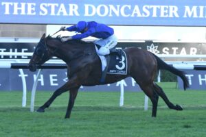 Happy Clapper won the Villiers Stakes in 2015 before finishing second to his nemesis Winx the following year in the Doncaster Mile.