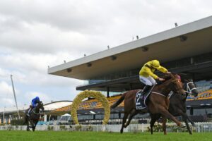 Addeybb and Verry Elleegant fighting it out in the Ranvet Stakes.