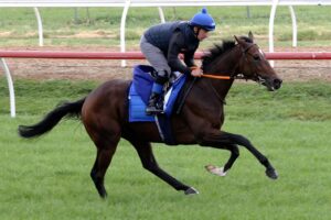 Danceteria in trackwork.