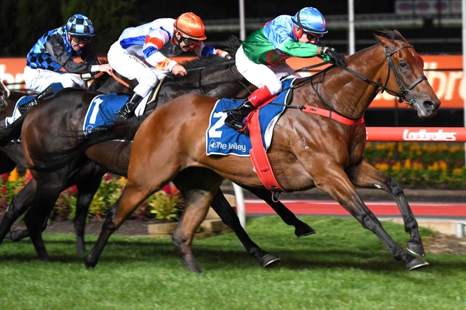 Scales Of Justice bound for untold racing riches? - Racenet