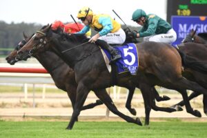 Diamond Thunder wins the Magic Millions 3&4YO Stakes at Wyong on Thursday.