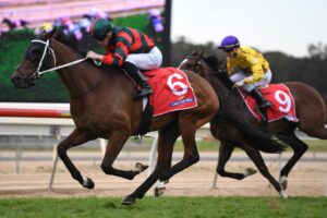 Wu Gok wins the Wyong Gold Cup.