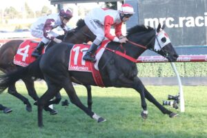 Mystic Journey posted another win in Saturday’s PB Lawrence Stakes at Caulfield.