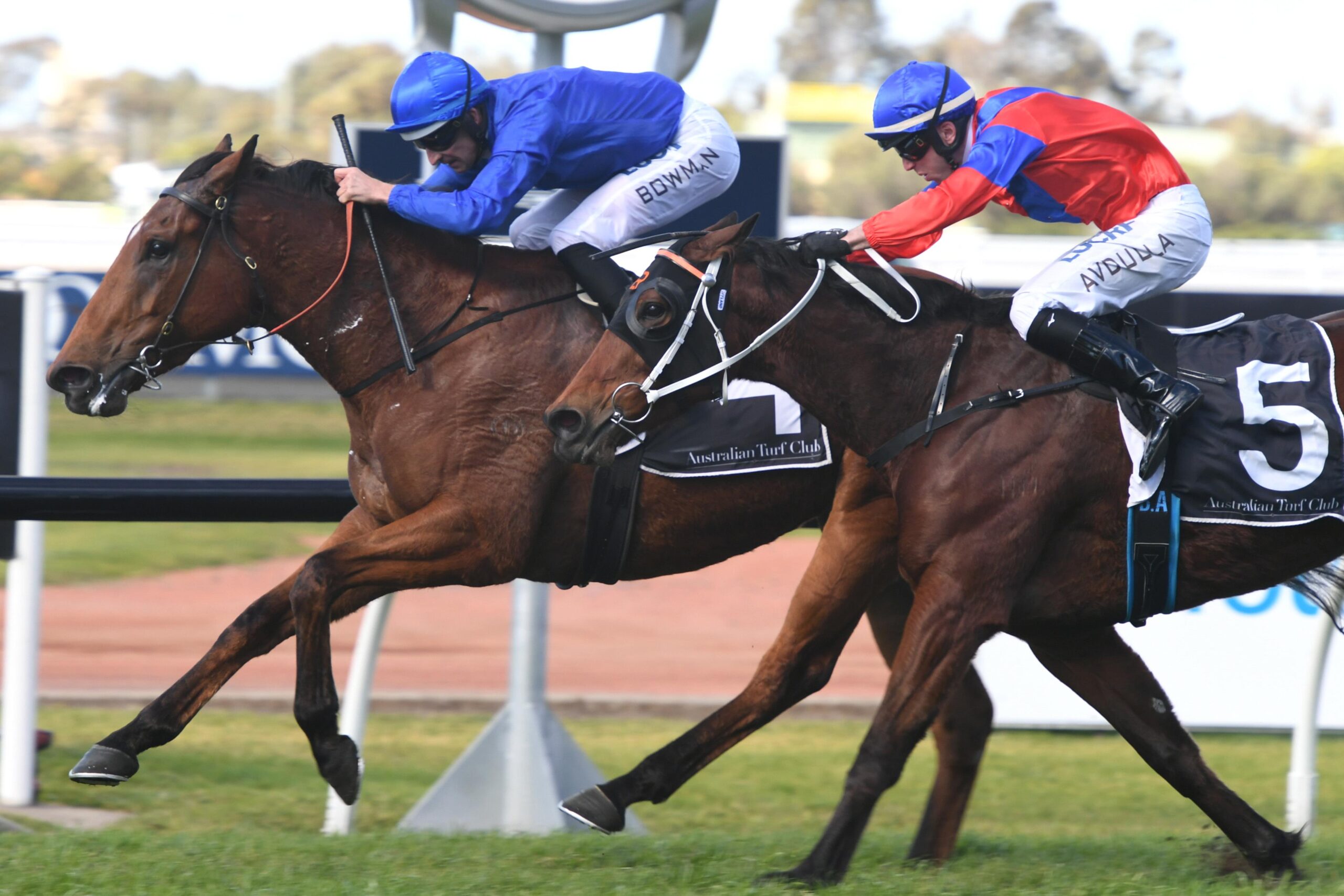 Invincible Gem (red) finishing second to Alizee.