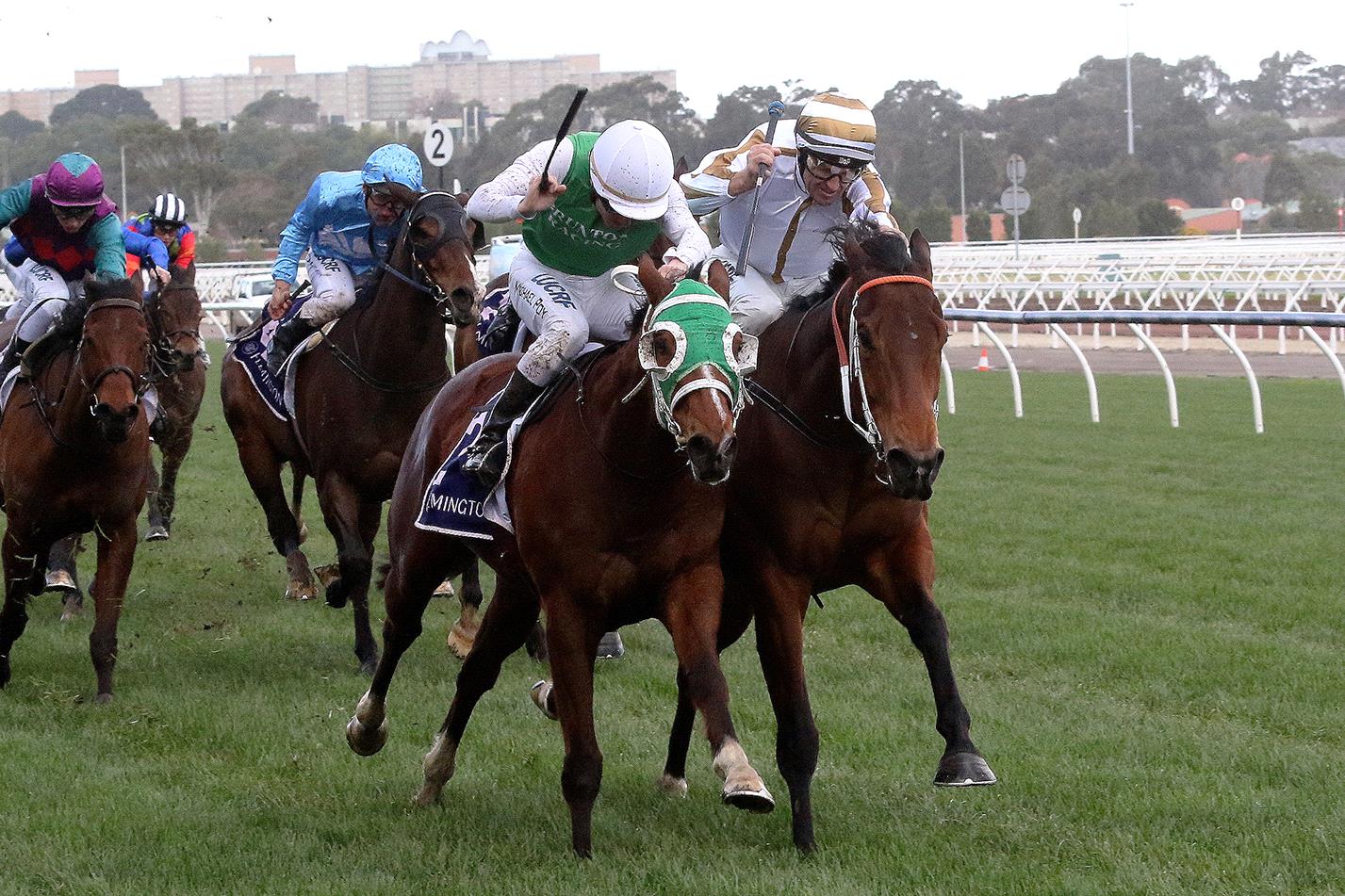 The Inevitable (left) winning at Flemington.