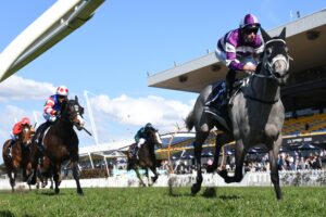 Lucicello coasts to victory at Rosehill.