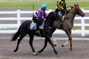 Sacred Suite (blue cap) heading out to trial.