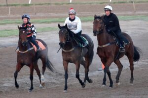 Kalkarni Royale (checks) and Art Collection after their heat on Friday.