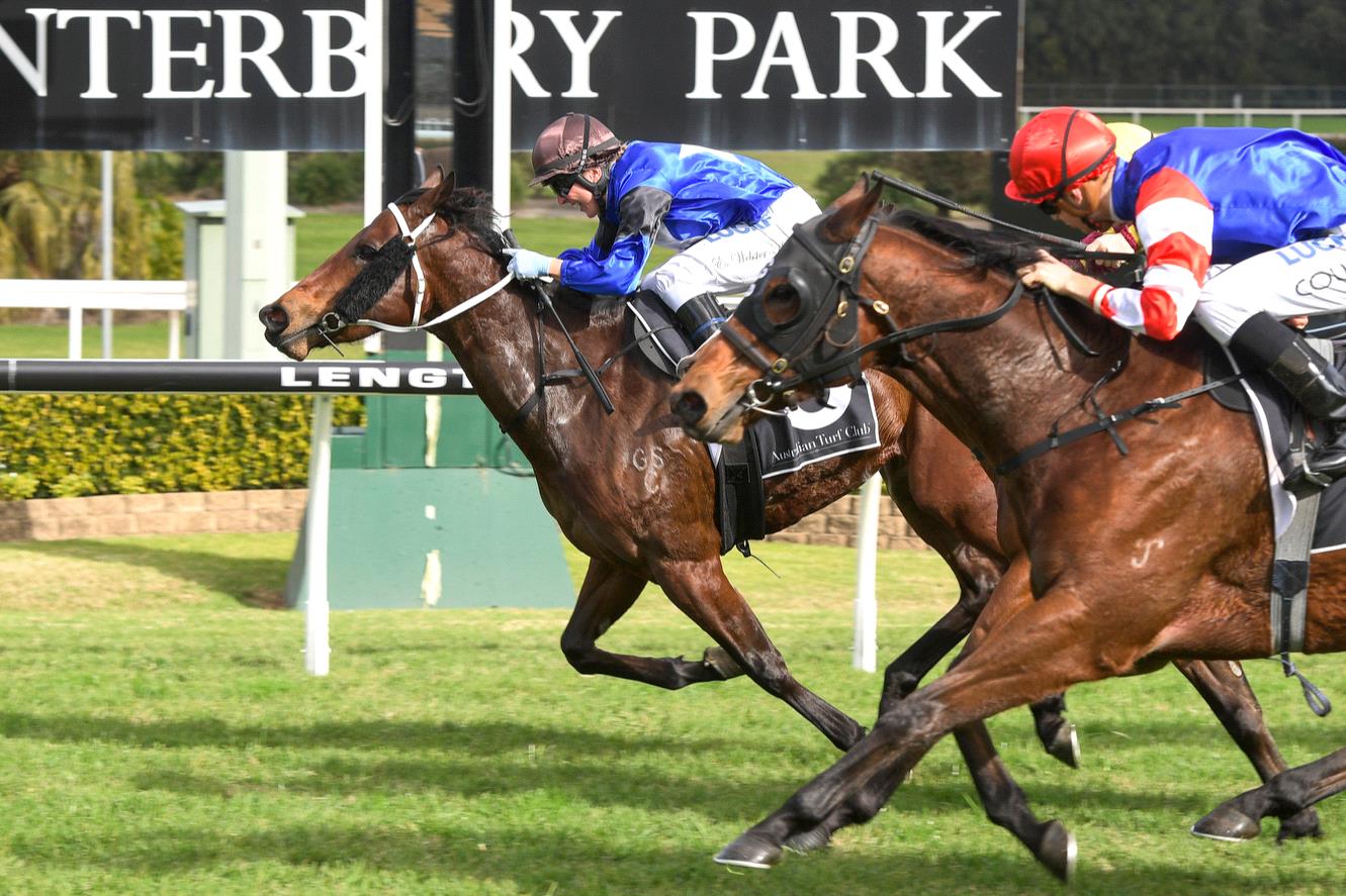 Country jockey enjoys first city winner at Canterbury