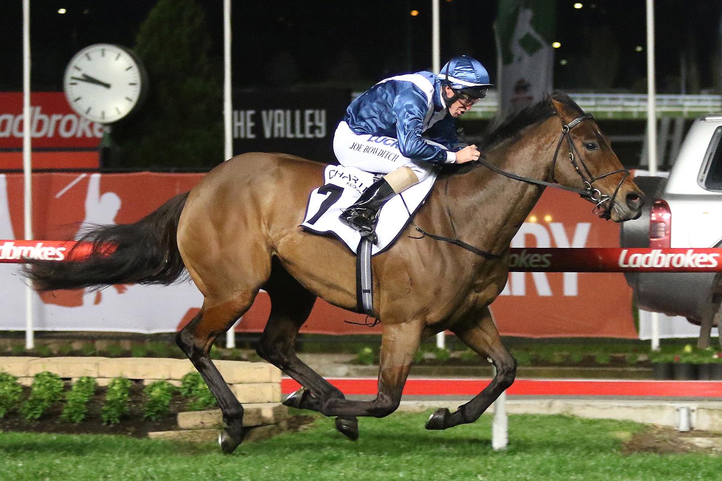 Viddora’s name is on some of the bigger bets written ahead of Saturday’s meetings.