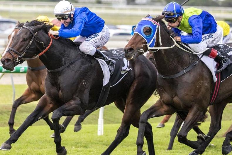 Plague Stone wins at Doomben.