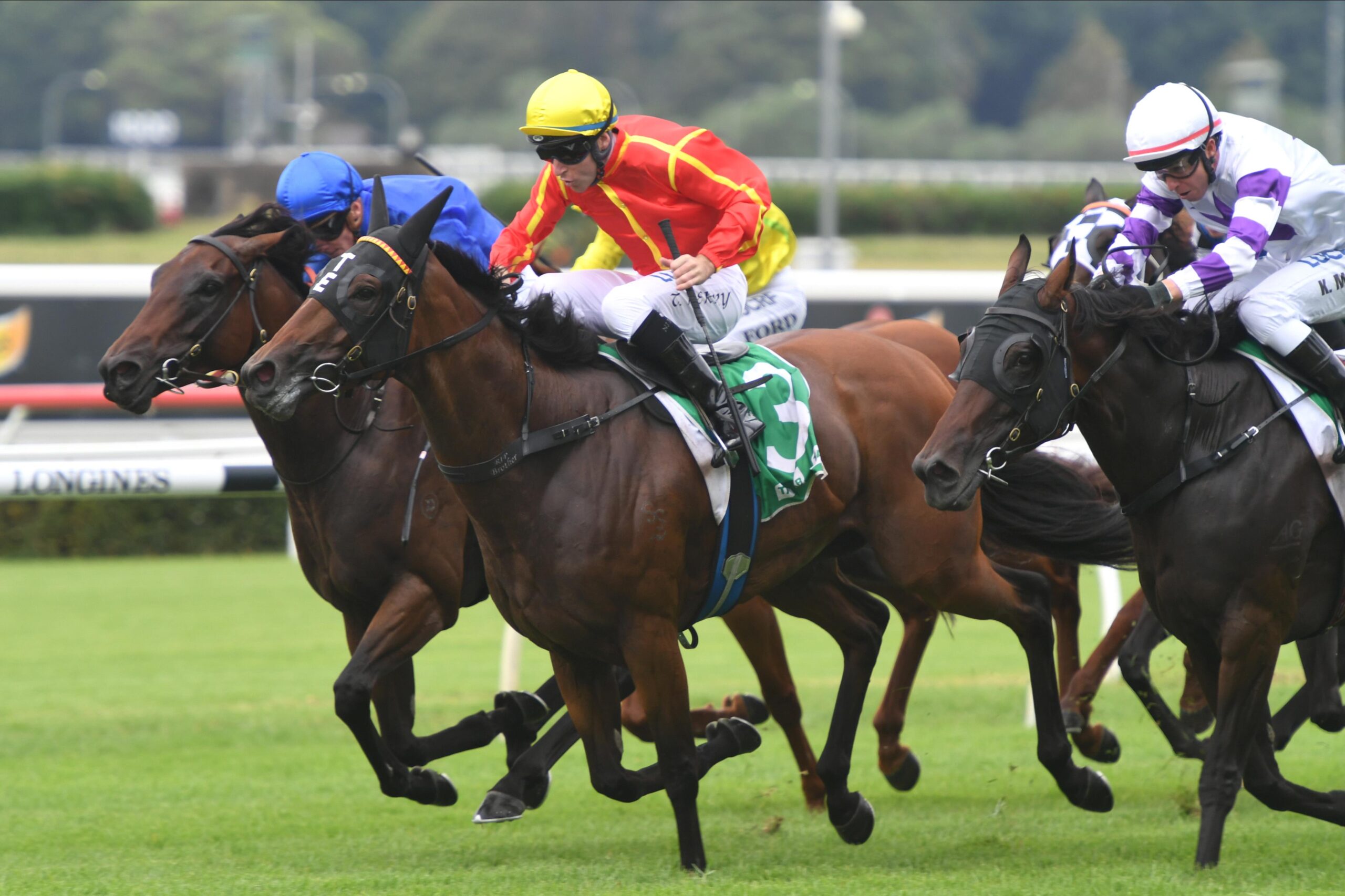 Winter Bride saluting in the first at Randwick.