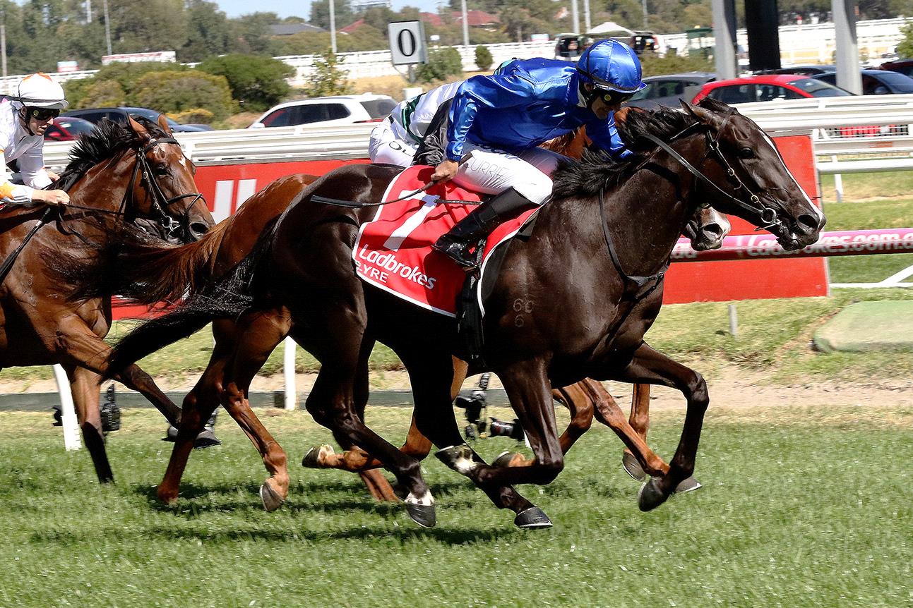 2019 Blue Diamond Stakes Result And Replay Racenet