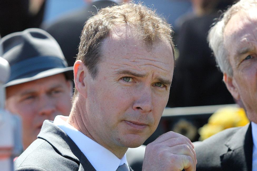 Zebulon will step out for the first time for Aaron Purcell at Flemington.