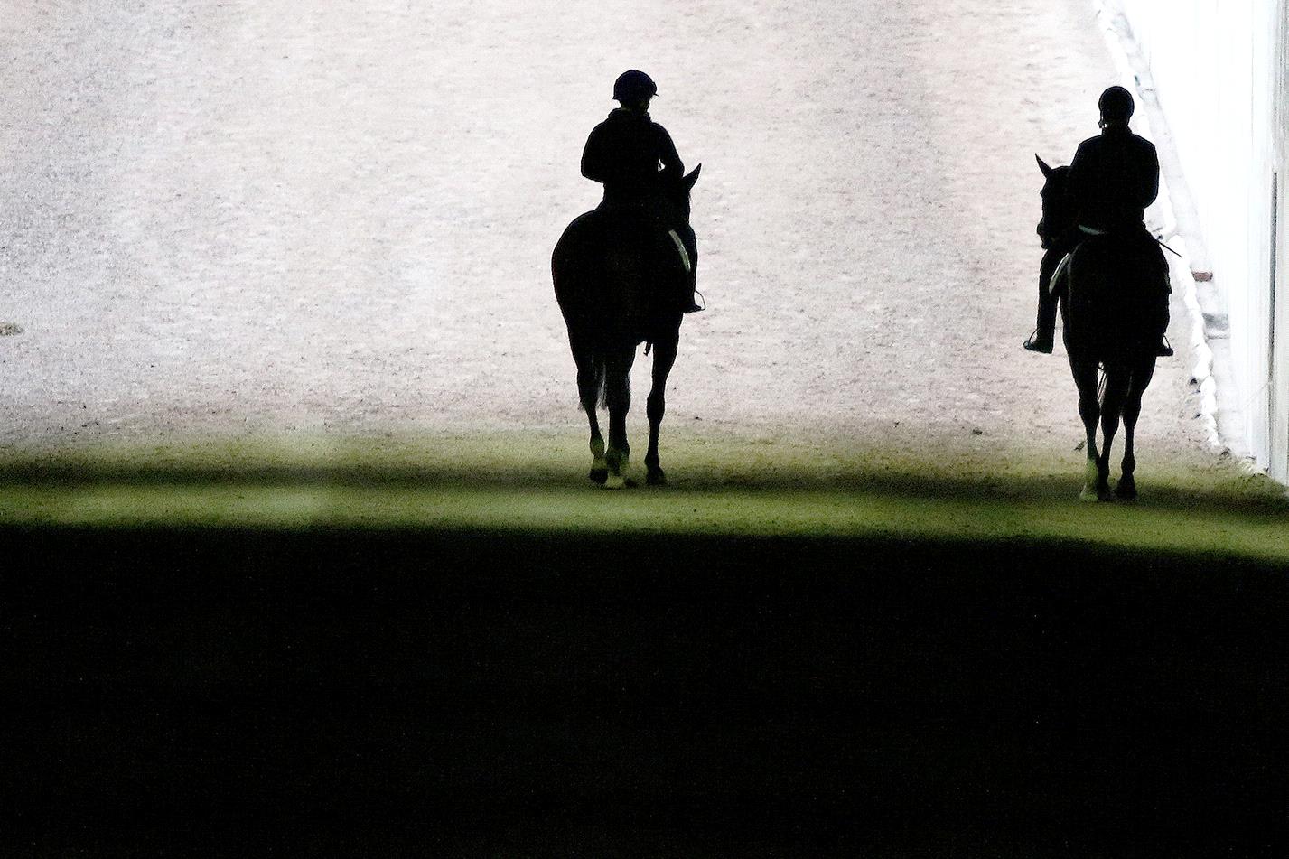 RV integrity boss outlines penalty in relation to jiggers