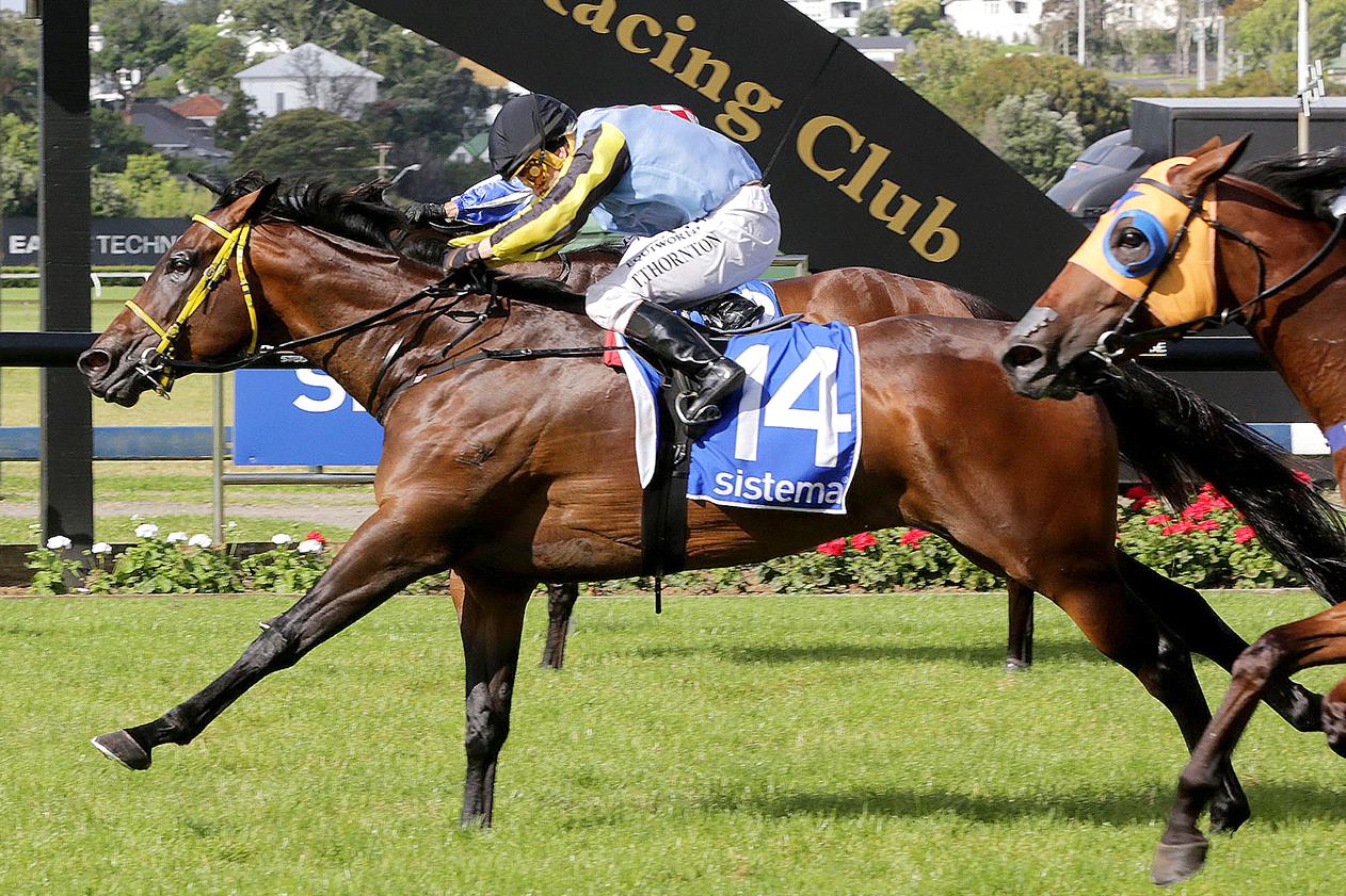 $77 Outsider Lifts The Sistema Railway At Ellerslie - Racenet