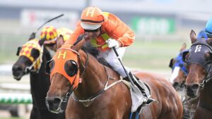 The Harrovian winning at Doomben. Photo: Grant Peters/ Trackside Photography