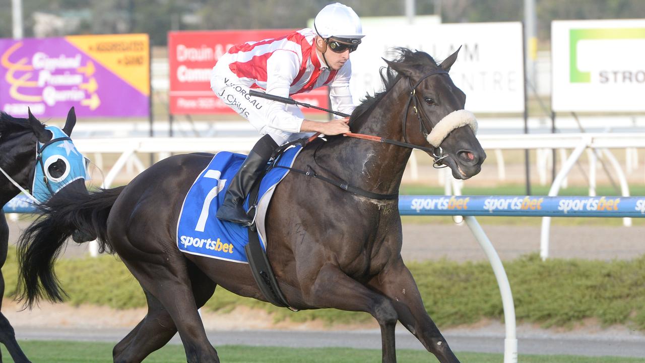 Butter Chicken went from a maiden to a Group 2 placegetter in the space of three starts during the summer. Picture: Racing Photos