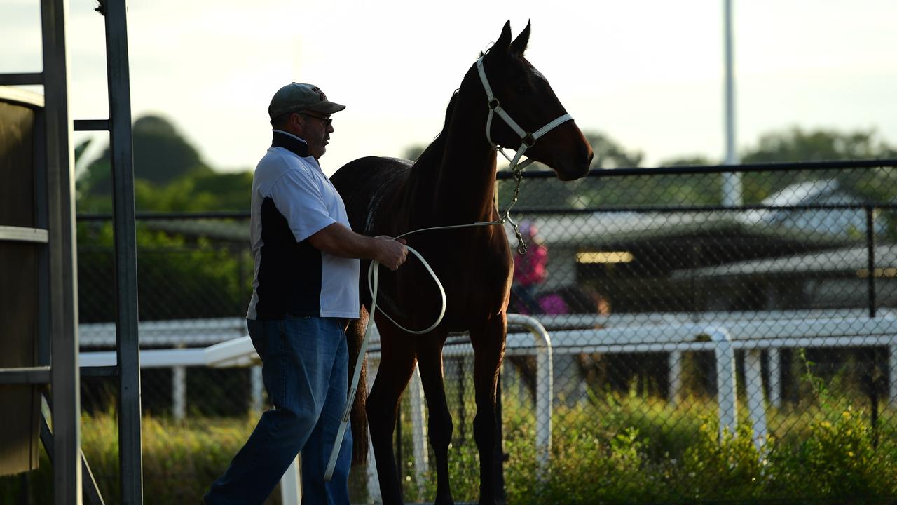 Chris Calthorpe will have to wait until the morning of the race to find out if Media Award will take her place in the Queensland Oaks. Picture: Brad Fleet