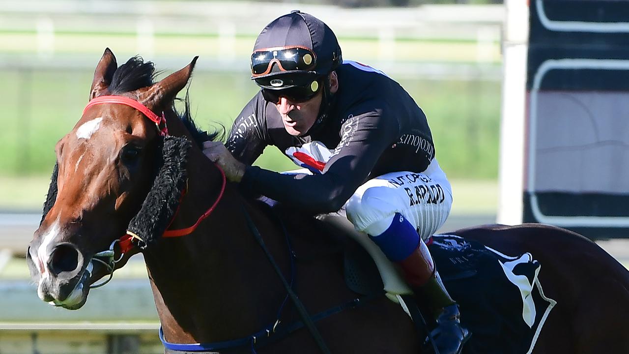 Ballistic Lover is going for three straight wins. Picture: Trackside Photography