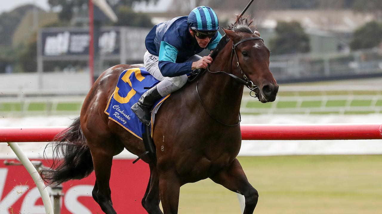 Ranveer is one of horses to follow from Sandown. Picture: Racing Photos