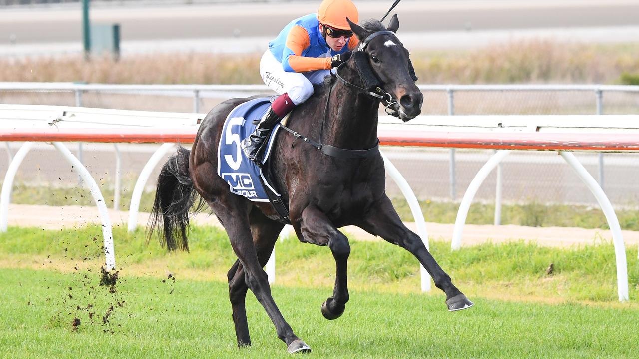 Four Leaf Riot was an impressive debut winner at Kilmore and gets back on to wet ground at Mornington on Monday. Picture: Racing Photos.