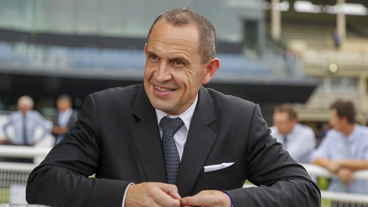 Chris Waller has plenty to smile about taking aim on the not too distant spring. Picture: Jenny Evans–Getty Images