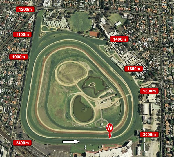 Caulfield Barrier Starts